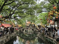 -观潮胜地公园