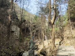 -王顺山国家森林公园