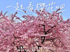 -上海辰山植物园