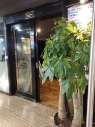 -YASAKI国际舞蹈中心