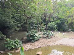 -广州长隆飞鸟乐园