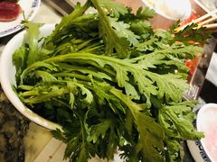 茼蒿-码头故事火锅(郫县红光店)