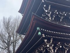 -医王山·飞騨国分寺