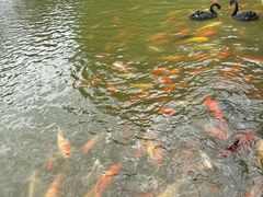 -珠海圆明新园