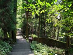 -缙云山景区