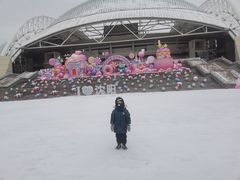 -沈阳奥体冰雪嘉年华