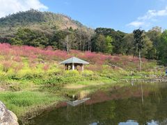-广州市石门国家森林公园