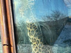 -新疆天山野生动物园