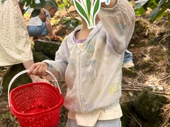 -樱桃山旅游景区