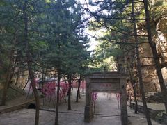 -藏山旅游风景区
