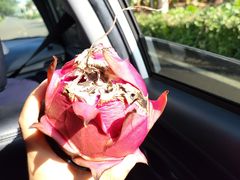 -硇洲岛旅游区