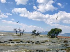 -呈贡滇池生态湿地公园