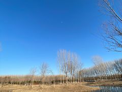 -东郊湿地公园