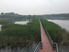 -白洋淀景区