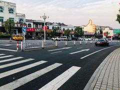 -天乐农家鱼头王(天目湖店)