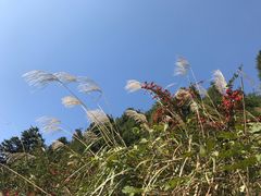 -山王坪喀斯特国家生态公园