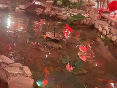 -鱼满舱·鲜活海鲜·正宗鲁菜