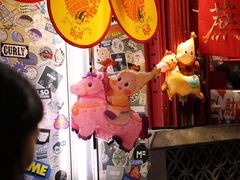 -越秀西湖花市(广州城市广场花卉店)