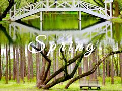 -上海共青森林公园