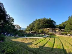 -韶山毛泽东同志故居