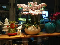 -若蘭慈·无国界素食料理(欢乐海岸店)