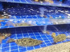 -百纳·锦绣江南 (百纳瑞汀酒店)