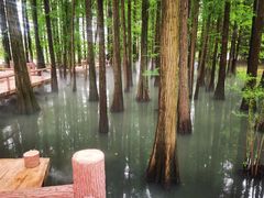 -东湖落雁景区
