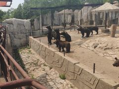 -沈阳森林动物园