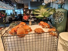 -Social 秀西餐厅-长沙瑞吉酒店(运达店)