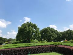 -上海科技馆(地铁站)