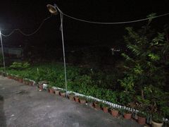 -钟叔烩鸡