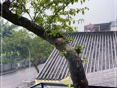 -老幺泉水鸡