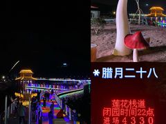 -翠屏湖景区