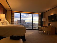 -拉斯维加斯永利酒店