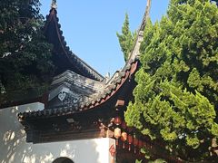 -秋霞圃
