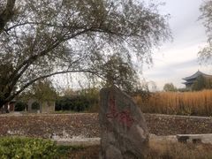 -大槐树寻根祭祖园
