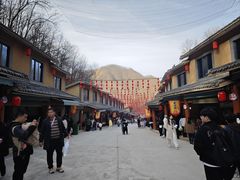 -栾川竹海野生动物园