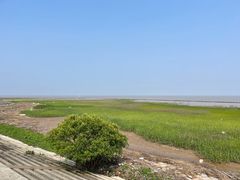 -南汇嘴观海公园