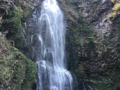 -井冈山革命烈士陵园