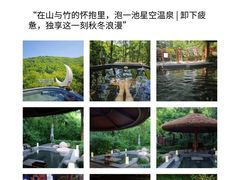 -紫藤园·天目湖大鱼头(南山竹海店)