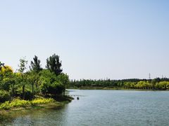 -东郊湿地公园