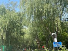 -云岗森林公园