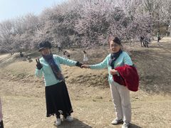 -奥林匹克森林公园北园-停车场