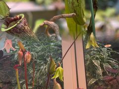 -上海辰山植物园