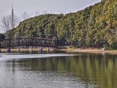 -同里国家湿地公园