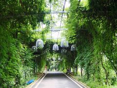 -武汉紫薇都市田园