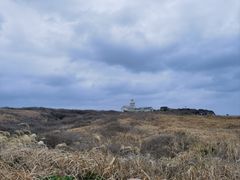 -涉地可支