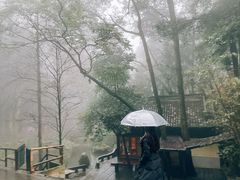 -凤栖山