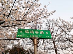 -鸡鸣赐茶(鸡鸣寺路店)