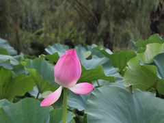 -前关湿地公园